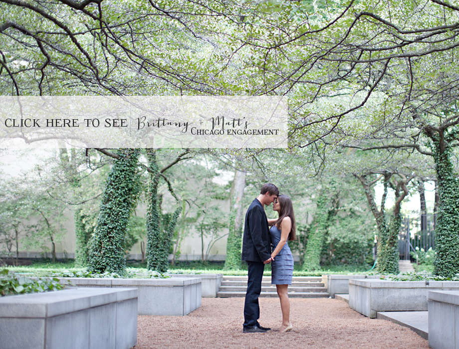 Brittany + Matt's Chicago Engagement